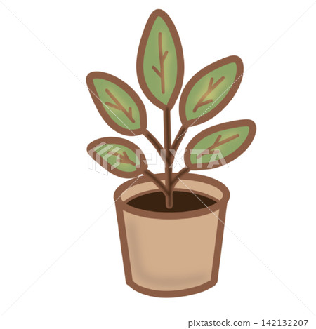 Green potted houseplant rubber tree in ceramic pot home cafe interior decor sticker print visual graphic clipart artwork design icon element illustration Green potted houseplant rubber tree in ceramic pot home cafe interior decor sticker print visual graphic clipart artwork design icon element illustration 142132207