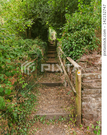 Public Footpath Through a Natural Green Tunnel of Trees and Shrubs Public Footpath Through a Natural Green Tunnel of Trees and Shrubs 142132747