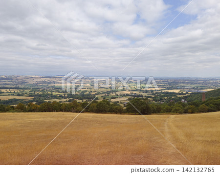 Drought-Affected Yellow Meadow in the English Countryside 142132765