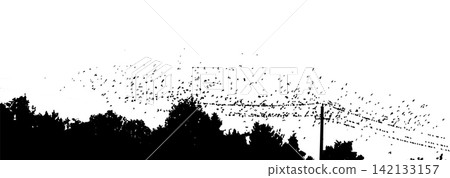 Silhouette of birds on wires . Vector illustration Silhouette of birds on wires . Vector illustration 142133157