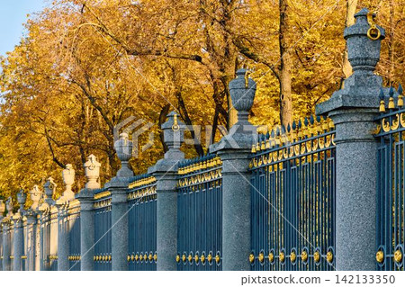 Lebyazhya kanavka embankment to the engineering palace, Trees with yellow leaves of the Summer garden in sunny autumn evening, Russia, Saint Petersburg 142133350
