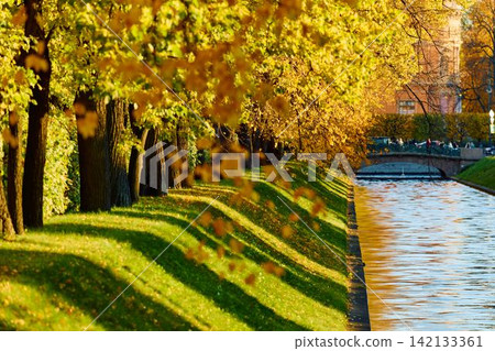 Lebyazhya kanavka embankment to the engineering palace, Trees with yellow leaves of the Summer garden in sunny autumn evening, Russia, Saint Petersburg Lebyazhya kanavka embankment to the engineering palace, Trees with yellow leaves of the Summer garden in sunny autumn evening, Russia, Saint Petersburg 142133361