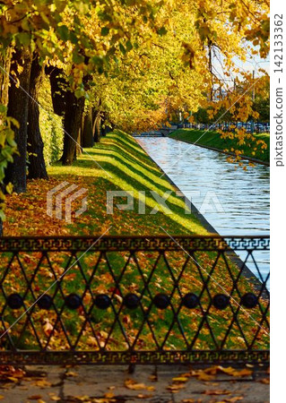 Lebyazhya kanavka embankment to the engineering palace, Trees with yellow leaves of the Summer garden in sunny autumn evening, Russia, Saint Petersburg Lebyazhya kanavka embankment to the engineering palace, Trees with yellow leaves of the Summer garden in sunny autumn evening, Russia, Saint Petersburg 142133362