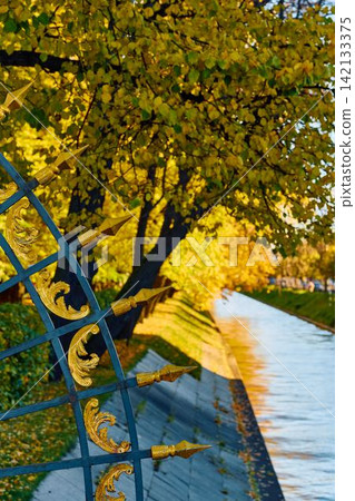 Lebyazhya kanavka embankment to the engineering palace, Trees with yellow leaves of the Summer garden in sunny autumn evening, Russia, Saint Petersburg 142133375