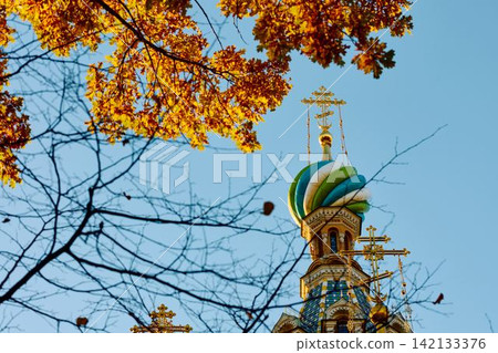 The golden domes of the cathedral were Saved on Blood through yellow foliage and the wrought-iron gates of the Mikhailovsky Garden on a sunny autumn evening 142133376