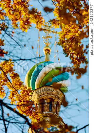The golden domes of the cathedral were Saved on Blood through yellow foliage and the wrought-iron gates of the Mikhailovsky Garden on a sunny autumn evening The golden domes of the cathedral were Saved on Blood through yellow foliage and the wrought-iron gates of the Mikhailovsky Garden on a sunny autumn evening 142133377
