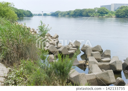 Edogawa Riverbed, Misato City, Saitama Prefecture, July 2026 Edogawa Riverbed, Misato City, Saitama Prefecture, July 2026 142133735