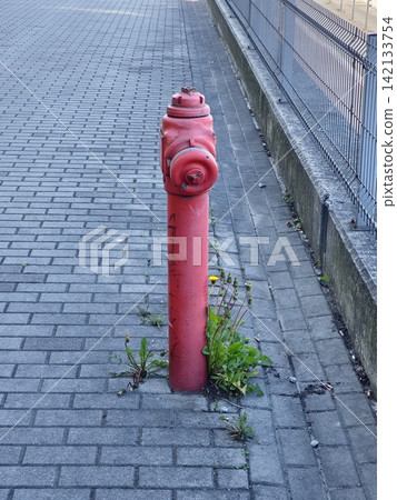 Red Fire Hydrant on Paved Urban Sidewalk Red Fire Hydrant on Paved Urban Sidewalk 142133754