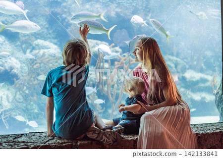 Family sits together by a bright marine tank, showing ocean education, travel with kids, sibling curiosity and underwater wildlife concept Family sits together by a bright marine tank, showing ocean education, travel with kids, sibling curiosity and underwater wildlife concept 142133841