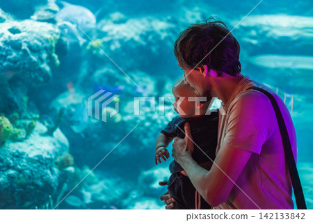 Man holding little baby while watching underwater world at aquarium, fatherhood, early learning, marine life discovery and family outing concept Man holding little baby while watching underwater world at aquarium, fatherhood, early learning, marine life discovery and family outing concept 142133842