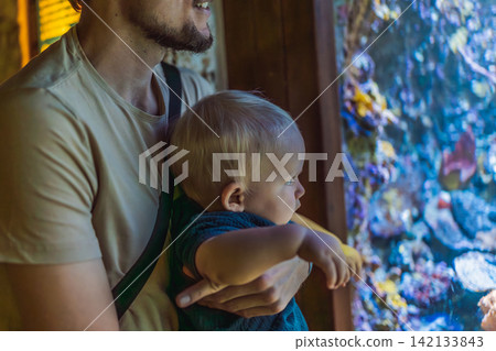 Dad carries his infant near a glowing aquarium tank, showing fatherhood, early learning, marine life discovery and family outing concept Dad carries his infant near a glowing aquarium tank, showing fatherhood, early learning, marine life discovery and family outing concept 142133843