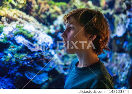 Older child observes colorful fish and coral behind glass, showing ocean education, curiosity, science learning and family travel concept Older child observes colorful fish and coral behind glass, showing ocean education, curiosity, science learning and family travel concept 142133844