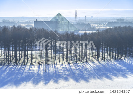 Glass Pyramid and Larch Forest from the summit of Play Mountain - Moerenuma Park, Sapporo City Glass Pyramid and Larch Forest from the summit of Play Mountain - Moerenuma Park, Sapporo City 142134397
