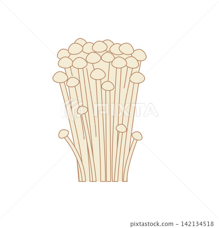 無紋白金針菇及其他秋季菇類。 無紋白金針菇及其他秋季菇類。 142134518