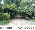 Landscape with green 142134534