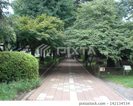 Landscape with green Landscape with green 142134534
