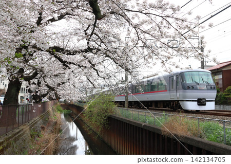 The Seibu Shinjuku Line Limited Express "Koedo" train travels along the cherry blossom-lined Shakujii River in spring (Nerima Ward, Tokyo). The Seibu Shinjuku Line Limited Express "Koedo" train travels along the cherry blossom-lined Shakujii River in spring (Nerima Ward, Tokyo). 142134705
