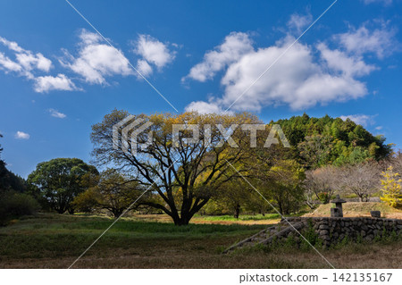 This photo was taken at Haibara Fureai Park in Uda City, Nara Prefecture, as the sounds of early winter approach. 142135167