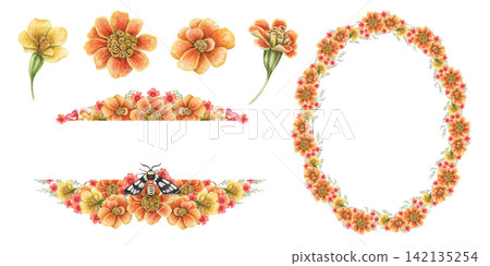Tagetes patula frame and text divider set watercolor illustration. Hand drawn French Marigold with Wasp Moth in vibrant botanical arrangement. Decorative wreath template for vintage greeting card. 142135254