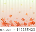 Background illustration of autumn leaves maple 142135423