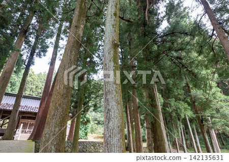 Arata Shrine, Kamikawa Town, Hyogo Prefecture 142135631