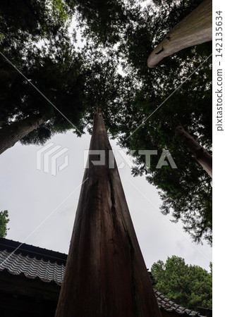 Arata Shrine, Kamikawa Town, Hyogo Prefecture 142135634