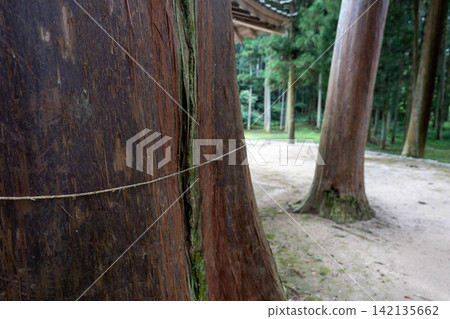 Arata Shrine, Kamikawa Town, Hyogo Prefecture 142135662