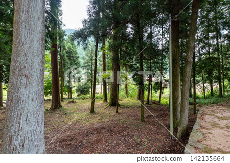 Arata Shrine, Kamikawa Town, Hyogo Prefecture 142135664