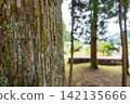 Arata Shrine, Kamikawa Town, Hyogo Prefecture 142135666