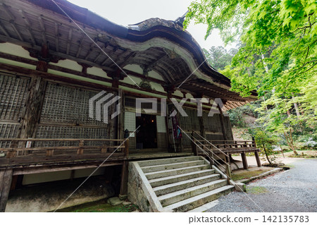 [Higashiomi City, Shiga Prefecture] Hyakusaiji Temple: Main Hall and Fresh Greenery 142135783