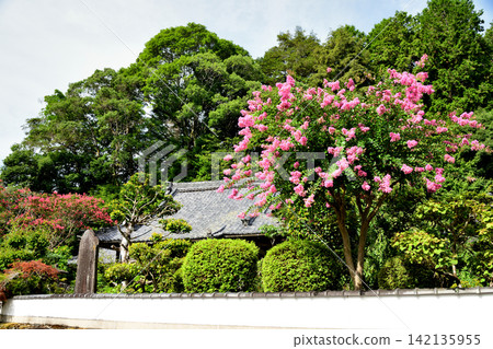 小野寺[奈良縣宇陀市室生大野] 142135955