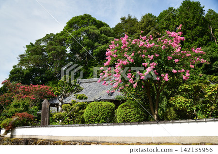 小野寺[奈良縣宇陀市室生大野] 142135956