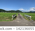 Summer country road 142136055