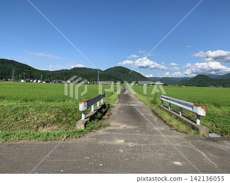 夏季鄉村道路 夏季鄉村道路 142136055