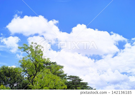Blue sky and cloud image Blue sky and cloud image 142136185