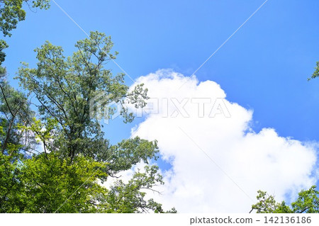 藍色的天空和雲圖像 藍色的天空和雲圖像 142136186