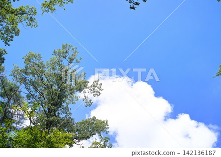 藍色的天空和雲圖像 142136187