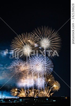 Fireworks in the summer night sky Fireworks in the summer night sky 142136628