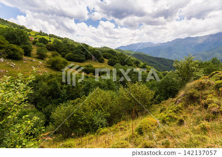 Mountain trees and green meadows of Picos de Europa Mountain trees and green meadows of Picos de Europa 142137057