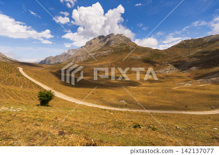 Rocky landscape in natural mountainous area on border of Cantabria with Castile and Leon Rocky landscape in natural mountainous area on border of Cantabria with Castile and Leon 142137077