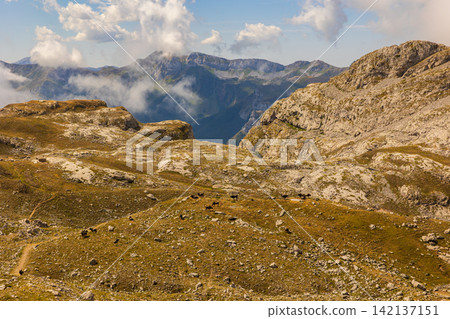 Rocky peaks in Picos de Europa national park in Cantabria Rocky peaks in Picos de Europa national park in Cantabria 142137151