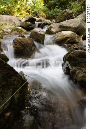 Mountain stream in natural landscape Mountain stream in natural landscape 142137274