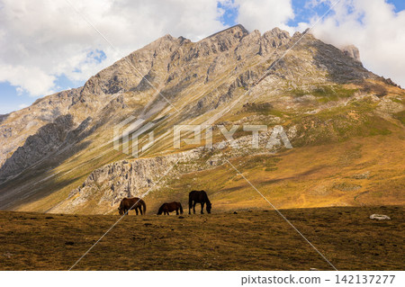 Beautiful horse grazing beneath imposing Picos de Europa mountains in Cantabria, Spain Beautiful horse grazing beneath imposing Picos de Europa mountains in Cantabria, Spain 142137277