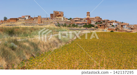 Panoramic view of Sisamon town with a blooming safflower field Panoramic view of Sisamon town with a blooming safflower field 142137295