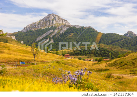 Picos de Europa mountain range from Piedrasluengas viewpoint in province of Palencia, Castile and Leon Picos de Europa mountain range from Piedrasluengas viewpoint in province of Palencia, Castile and Leon 142137304