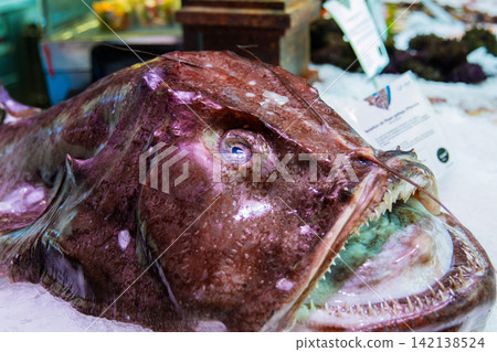 San Miguel Market - Monkfish - (Madrid, Spain) San Miguel Market - Monkfish - (Madrid, Spain) 142138524