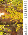 Autumn leaves 142138822