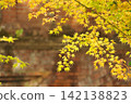 Autumn leaves 142138823