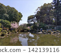 京都皇宮在春天 142139116