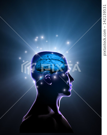 A brain structure that engages in delicate thinking A brain structure that engages in delicate thinking 142139531